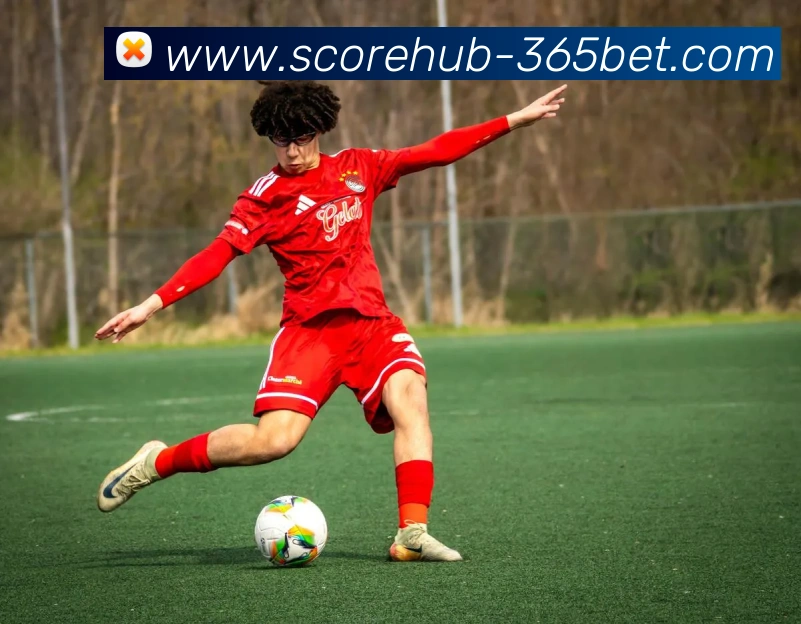 App Interface Preview